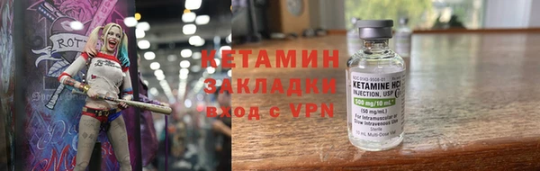 СК Снежногорск