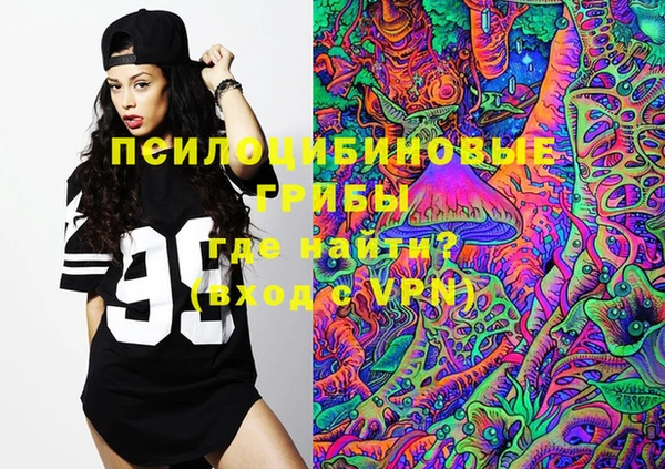 PSILOCYBIN Балабаново