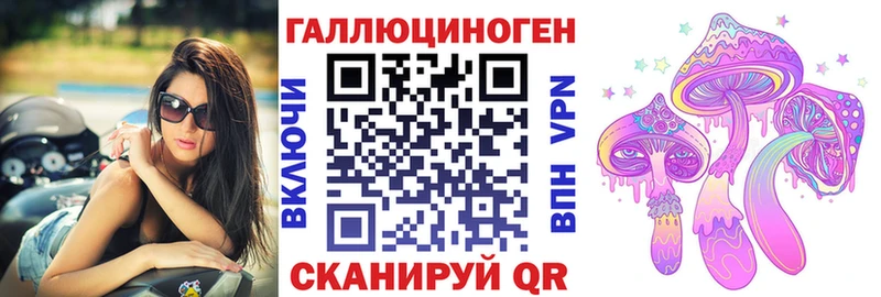 наркота  Коряжма  кракен онион  Галлюциногенные грибы Psilocybine cubensis 